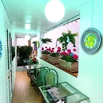 Casa Nicola מלון